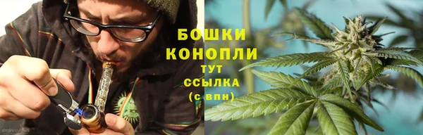 apvp Аркадак