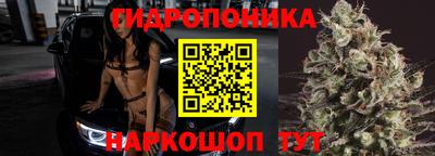 крисы Балашиха